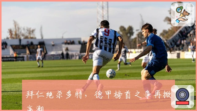 拜仁绝杀多特，德甲榜首之争再掀高潮