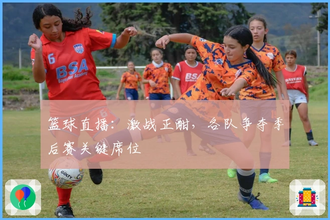 篮球直播：激战正酣，各队争夺季后赛关键席位